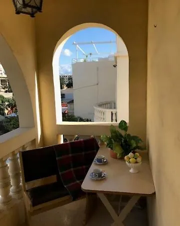 Maltese Msida